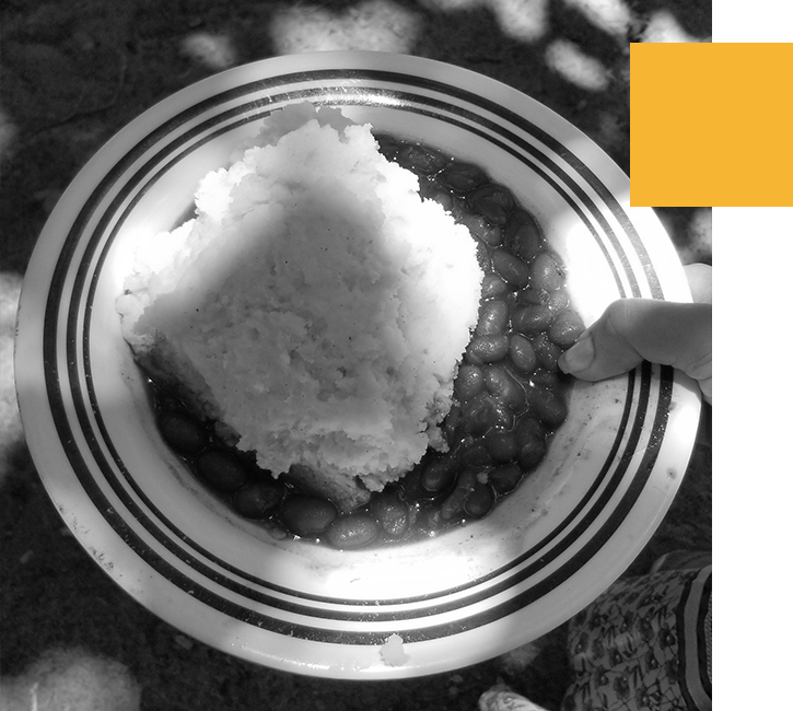 TAFFED Food Distribution TAFFED Food Distribution